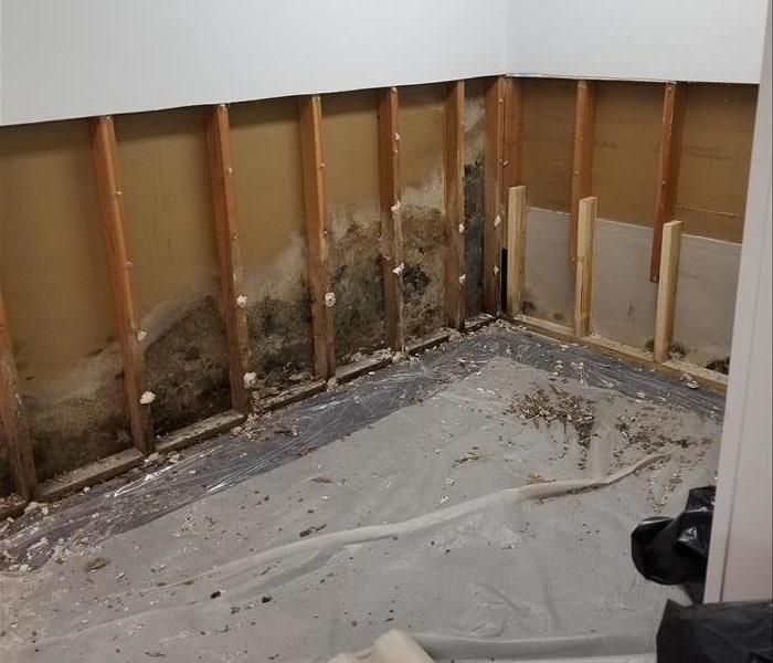 The mold damage after some of the drywall has been removed