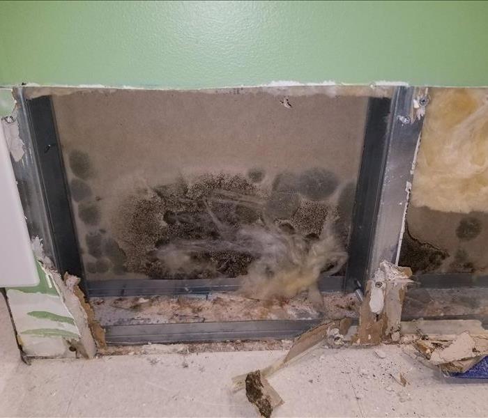 Mold growth behind the drywall in a Philadelphia home