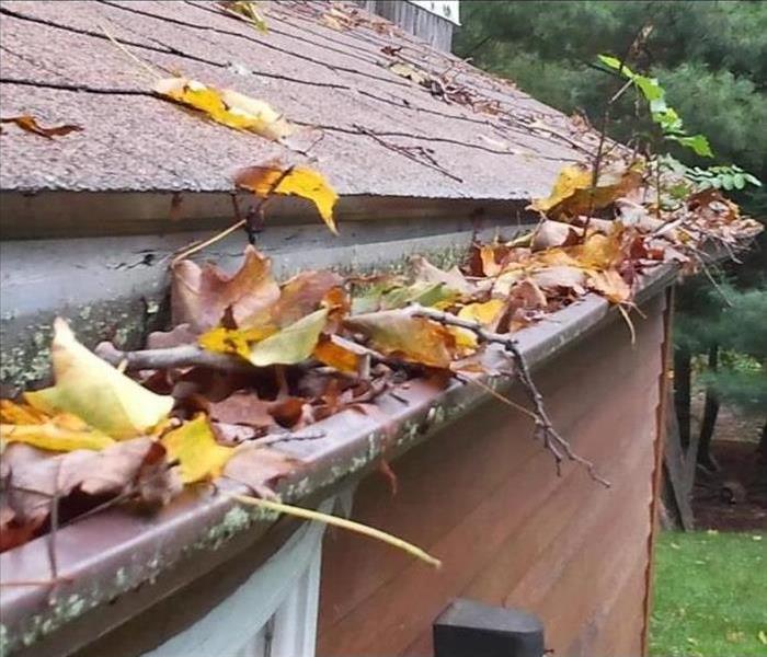 Leaves clogging a gutter of a home
