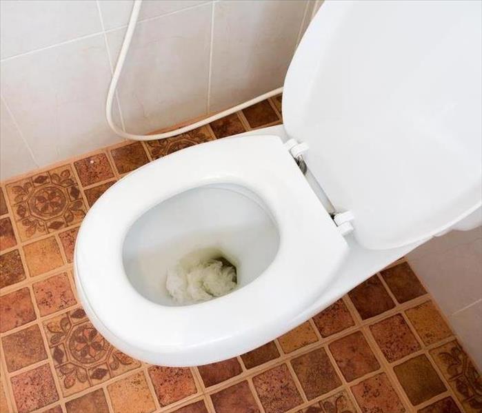 A clogged toilet