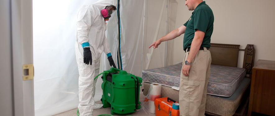 Philadelphia, PA mold removal process